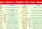 Weapons Idioms in English with their Meanings and Pictures
