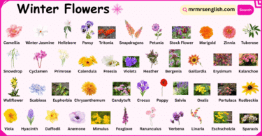 Winter Flowers Names in English with Their Pictures