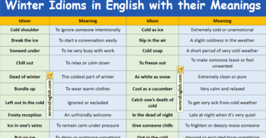 Winter Idioms in English with their Meanings and Pictures
