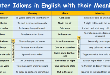 Winter Idioms in English with their Meanings and Pictures