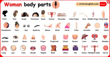 Woman Body Parts Names in English with Pictures