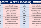 100 Opposite Words Meaning in English with Pictures