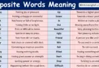 100 Opposite Words Meaning in English with Pictures