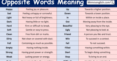 100 Opposite Words Meaning in English with Pictures