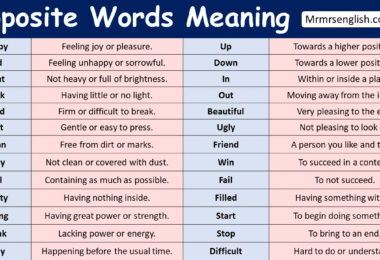 100 Opposite Words Meaning in English with Pictures