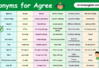100 Synonyms for Agree in English with their Pictures