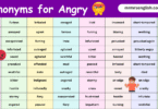 100 Synonyms for Angry in English with their Pictures