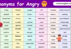 100 Synonyms for Angry in English with their Pictures