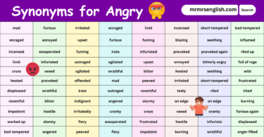 100 Synonyms for Angry in English with their Pictures