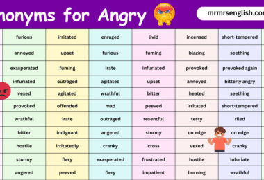 100 Synonyms for Angry in English with their Pictures