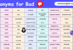 100 Synonyms for Bad in English with their Pictures