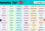 100 Synonyms for Big in English with their Pictures