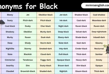 100 Synonyms for Black in English with their Pictures