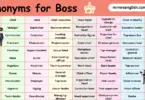 100 Synonyms for Boss in English with their Pictures