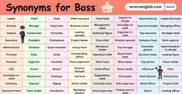 100 Synonyms for Boss in English with their Pictures