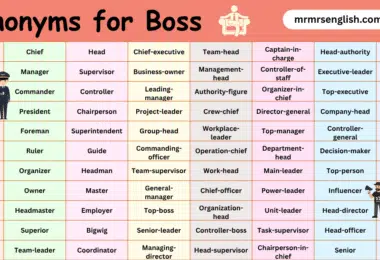 100 Synonyms for Boss in English with their Pictures