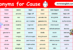 100 Synonyms for Cause in English with their Pictures