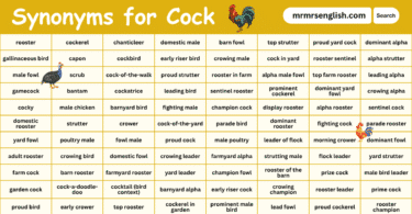 100 Synonyms for Cock in English with their Pictures