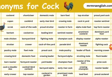 100 Synonyms for Cock in English with their Pictures