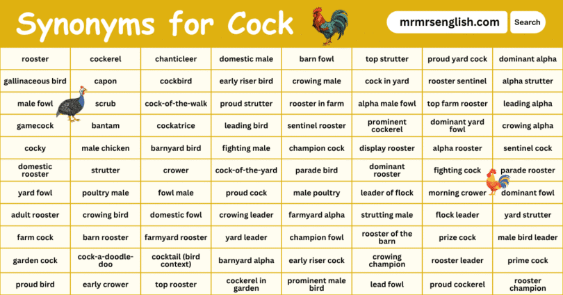 100 Synonyms for Cock in English with their Pictures