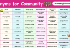 100 Synonyms for Community in English with their Pictures