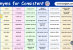 100 Synonyms for Consistent English with their Pictures