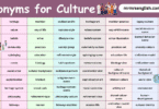 100 Synonyms for Culture in English with their Pictures