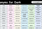 100 Synonyms for Dark in English with their Pictures