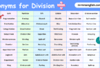 100 Synonyms for Division in English with their Pictures