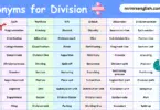100 Synonyms for Division in English with their Pictures