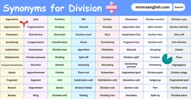 100 Synonyms for Division in English with their Pictures
