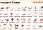 Air Transport Names in English with their Pictures