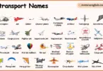 Air Transport Names in English with their Pictures