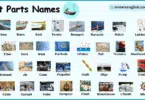 Boat Parts Names in English with their Pictures