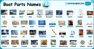 Boat Parts Names in English with their Pictures