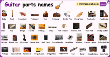 Guitar​ Parts Names in English with their Pictures