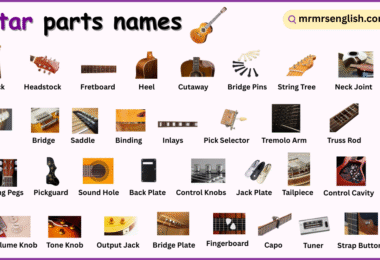 Guitar​ Parts Names in English with their Pictures