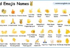 Hand Emojis Names in English with their Pictures