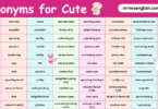 List of Synonyms for Cute in English with their Pictures