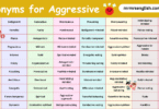Synonyms for Aggressive in English with Pictures