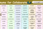 Synonyms for Collaborate in English with their Pictures