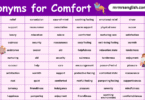 Synonyms for Comfort in English with their Pictures
