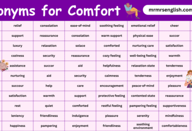 Synonyms for Comfort in English with their Pictures