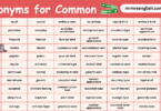 Synonyms for Common in English with their Pictures