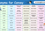 Synonyms for Convey English with their Pictures