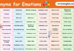 Synonyms for Emotions in English with their Pictures
