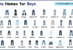 Types of Jeans Names for Boys with their Pictures