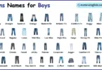 Types of Jeans Names for Boys with their Pictures