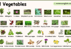 Wild Vegetables Names in English with their Pictures