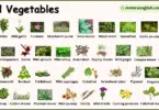 Wild Vegetables Names in English with their Pictures